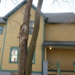 A Christmas Story House - side of house