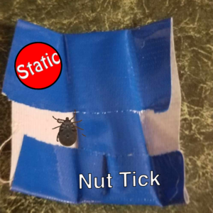 Nut Tick