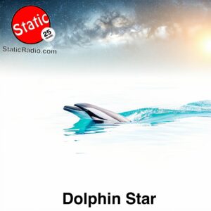 Dolphin Star